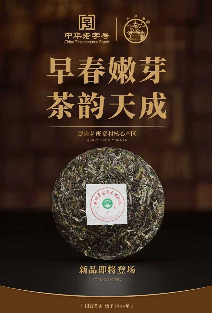 八角亭老班章古乔木有机茶 以匠心，承岁月茶香
