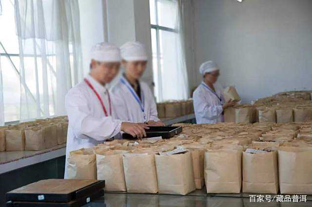 普洱茶5个冷知识：从茶类到品鉴的真相揭秘