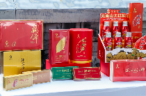 2025年闽茶神州行（西安站）活动启幕——双源联动传茶香   千年文脉焕新彩