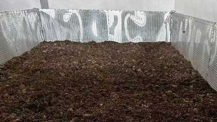 下关冰岛熟沱：首次选用珍稀冰岛原料结合离地发酵技艺精制而成