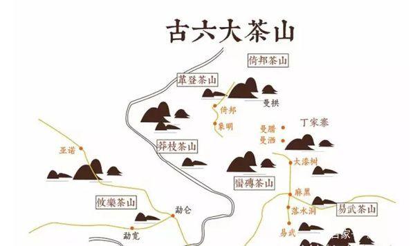 普洱茶品牌茶与山头茶优势对比：选哪个更合适？