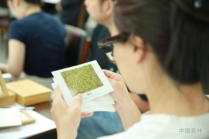 “风味轮+实物参照”助力龙井茶品质评价向“专快准”升级