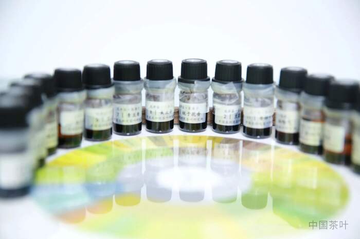 “风味轮+实物参照”助力龙井茶品质评价向“专快准”升级