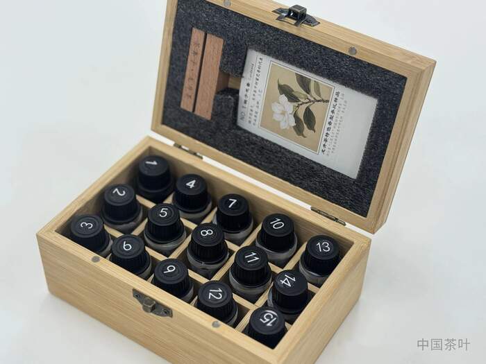 “风味轮+实物参照”助力龙井茶品质评价向“专快准”升级