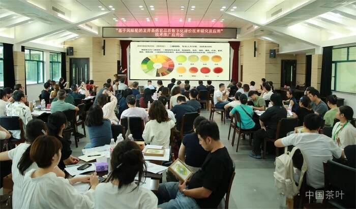 “风味轮+实物参照”助力龙井茶品质评价向“专快准”升级