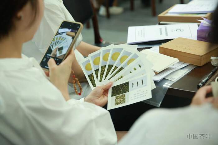 “风味轮+实物参照”助力龙井茶品质评价向“专快准”升级