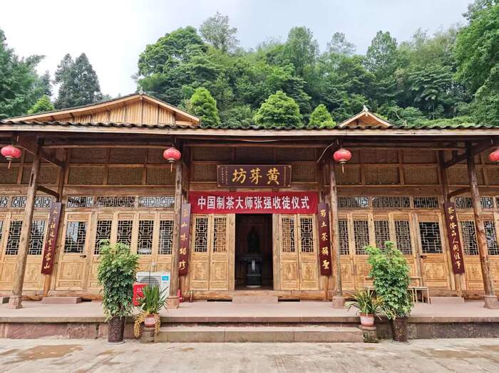 “双轨”推进非遗传承：一位95后女孩的“茶叶复兴”梦