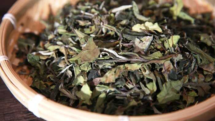 下关冰岛白茶 散茶 晒白工艺下的清甜鲜爽