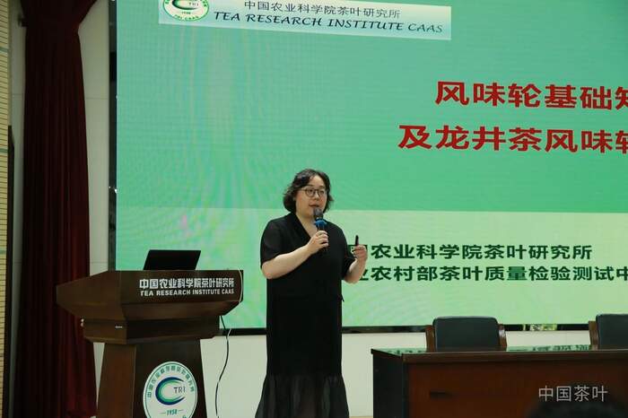 “风味轮+实物参照”助力龙井茶品质评价向“专快准”升级