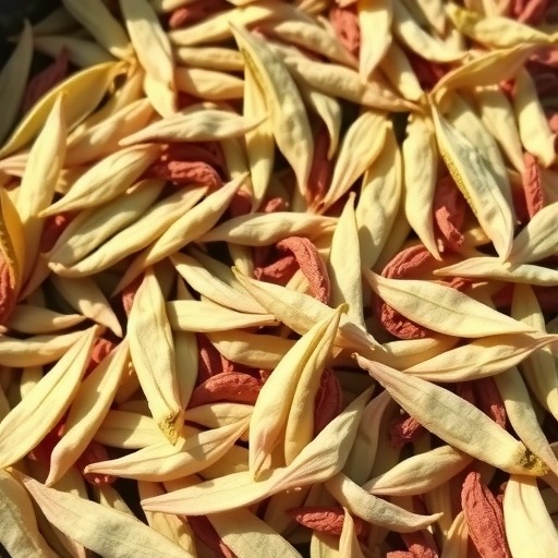 冰岛白茶散茶：自然工艺焕发生命力，山野甜香尽显茶中黄金