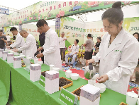 景洪市举办“苦茶”“甜茶”品鉴活动