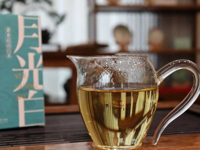 嘉木月光白  白茶之上的白茶，邂逅时光珍藏的美好