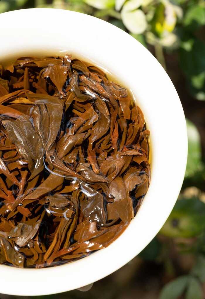 晒红为何一出道就是“适饮期”?