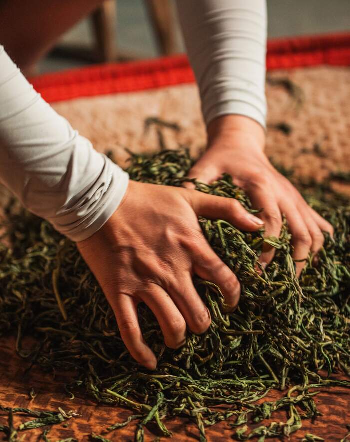 晒红为何一出道就是“适饮期”?