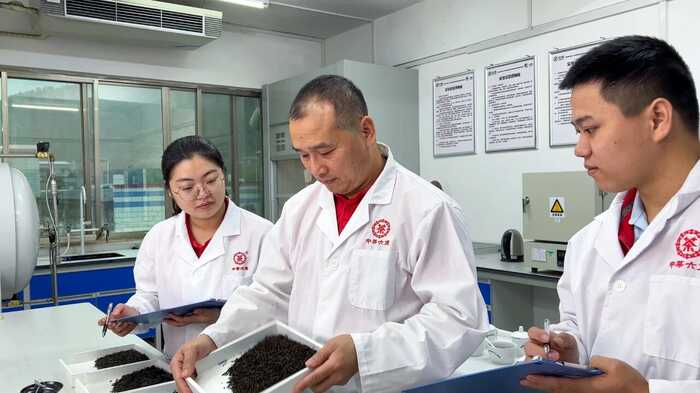 中茶梧州建设非遗传承梯队，助推六堡茶产业高质量发展