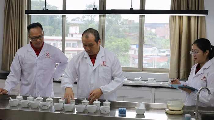 中茶梧州建设非遗传承梯队，助推六堡茶产业高质量发展