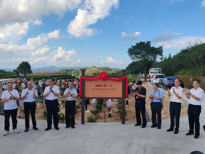 “双遗白茶·美好世界”世界双遗产福鼎白茶品品香推介会暨2025年福鼎白茶农遗宣传推广季启动仪式举办