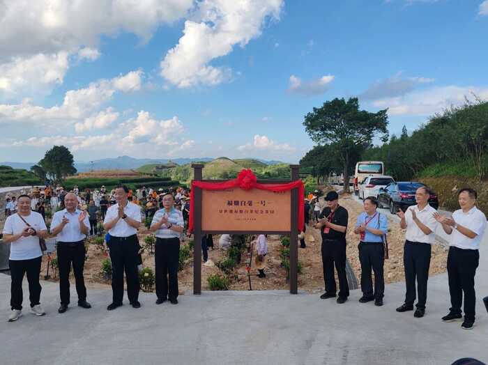 如何诠释“非遗”“农遗”时代新价值？中国白茶引领者打个样！