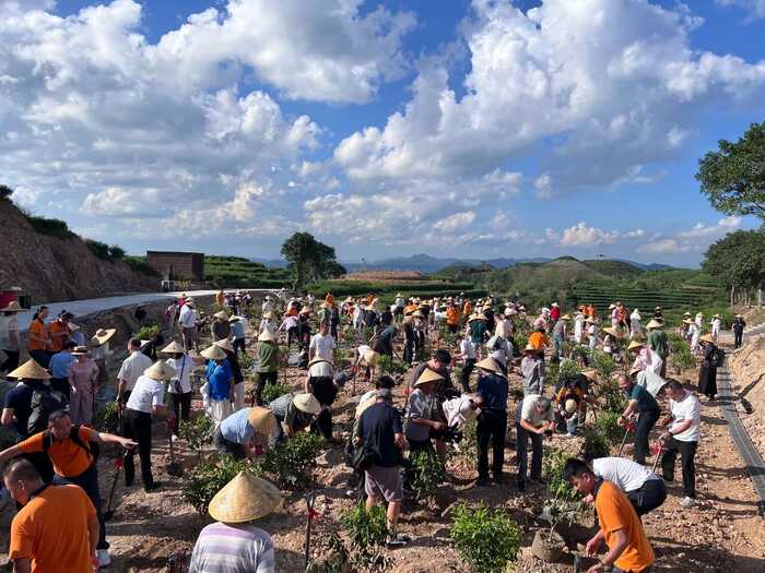 如何诠释“非遗”“农遗”时代新价值？中国白茶引领者打个样！