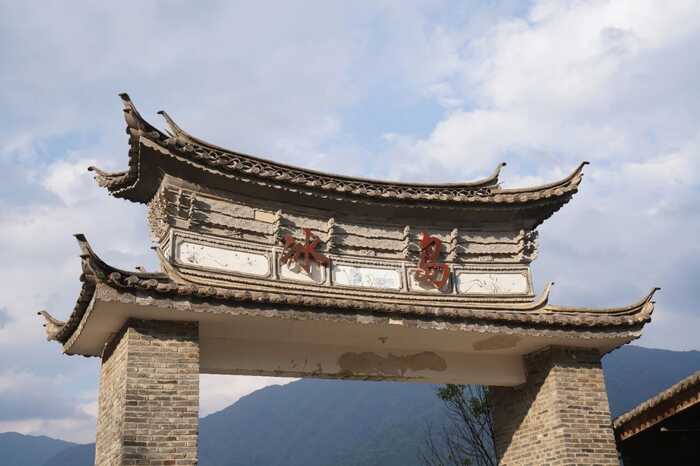 下关冰岛老寨饼茶  藏在 “双狮” 里的冰岛老寨古树茶香