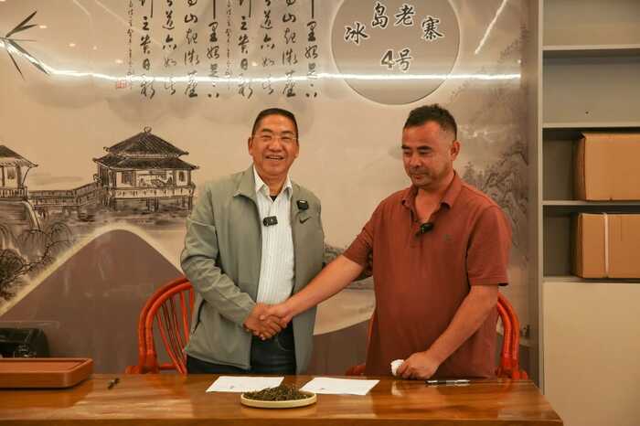 下关冰岛老寨饼茶  藏在 “双狮” 里的冰岛老寨古树茶香