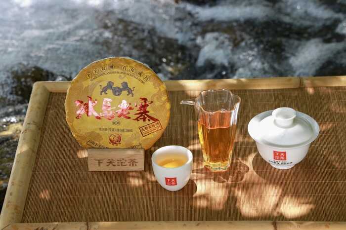 下关冰岛老寨饼茶  藏在 “双狮” 里的冰岛老寨古树茶香