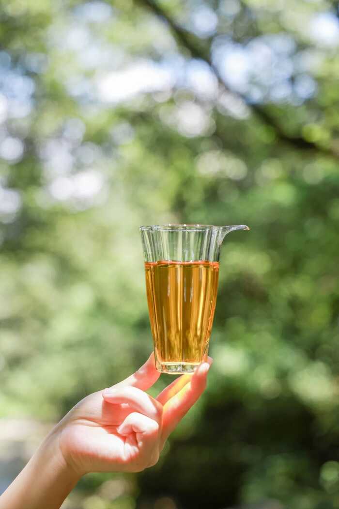 下关冰岛老寨饼茶  藏在 “双狮” 里的冰岛老寨古树茶香