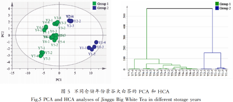 不同年份景谷大白茶品质变化分析