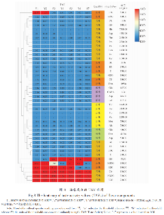 不同年份景谷大白茶品质变化分析