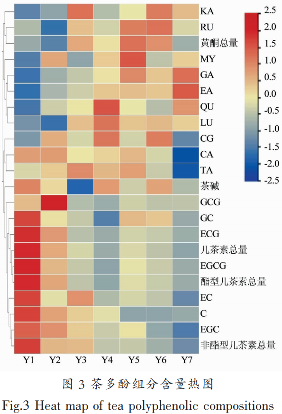 不同年份景谷大白茶品质变化分析