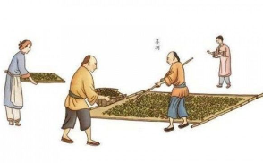 祁门红茶的制作工艺流程有多少道工序1.png