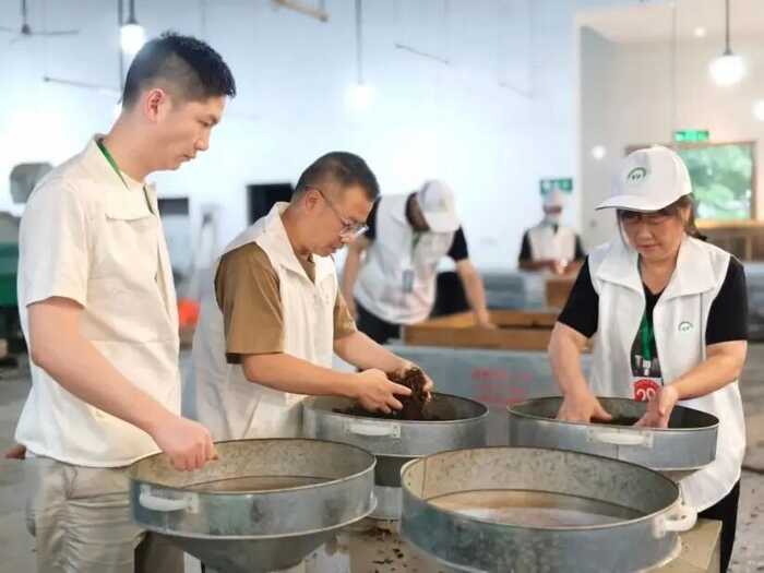 成都市茶叶技能大赛（红茶项目）（都江堰市青城山道茶观光园）