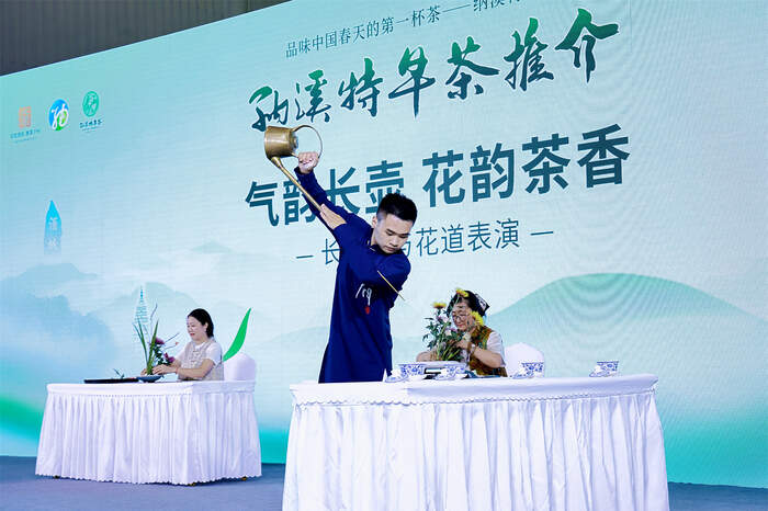 特早茶品鉴会见证川南茶乡振兴密码 纳溪特早茶(成都)推介品鉴活动圆满举行,共话早春茶韵与乡村振兴新图景