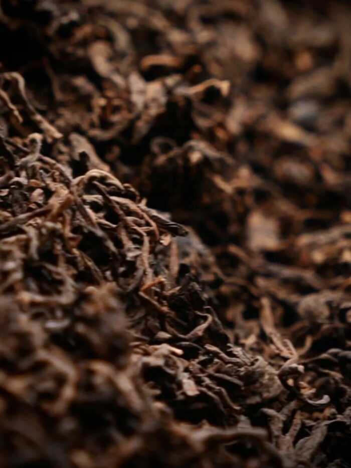 老同志新品上市：10载干仓“老茶头”