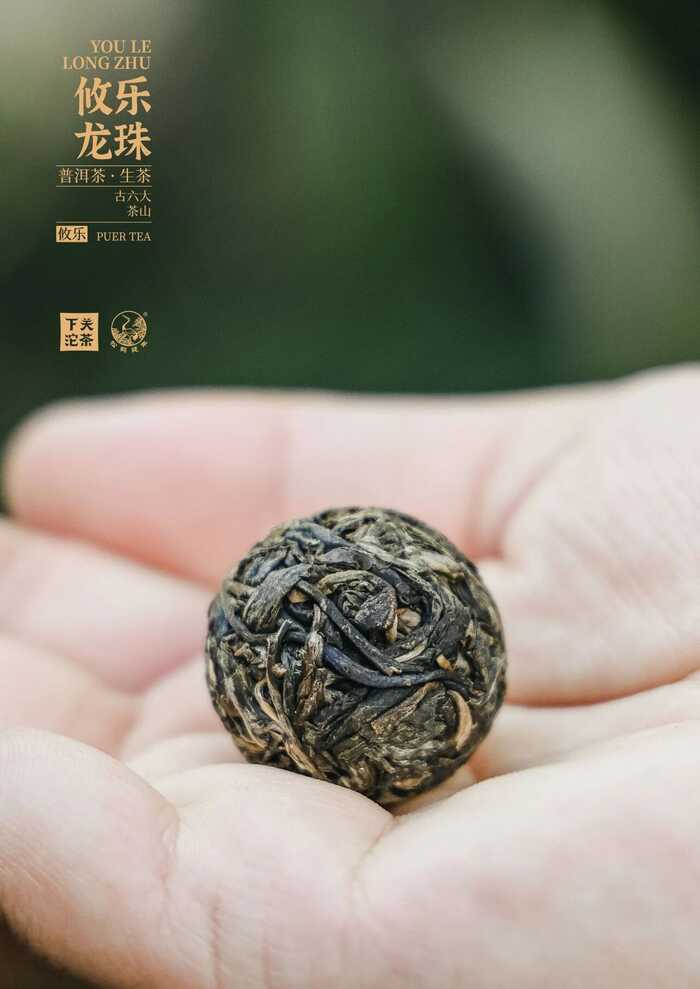 下关攸乐龙珠：刚柔并济的森林之味