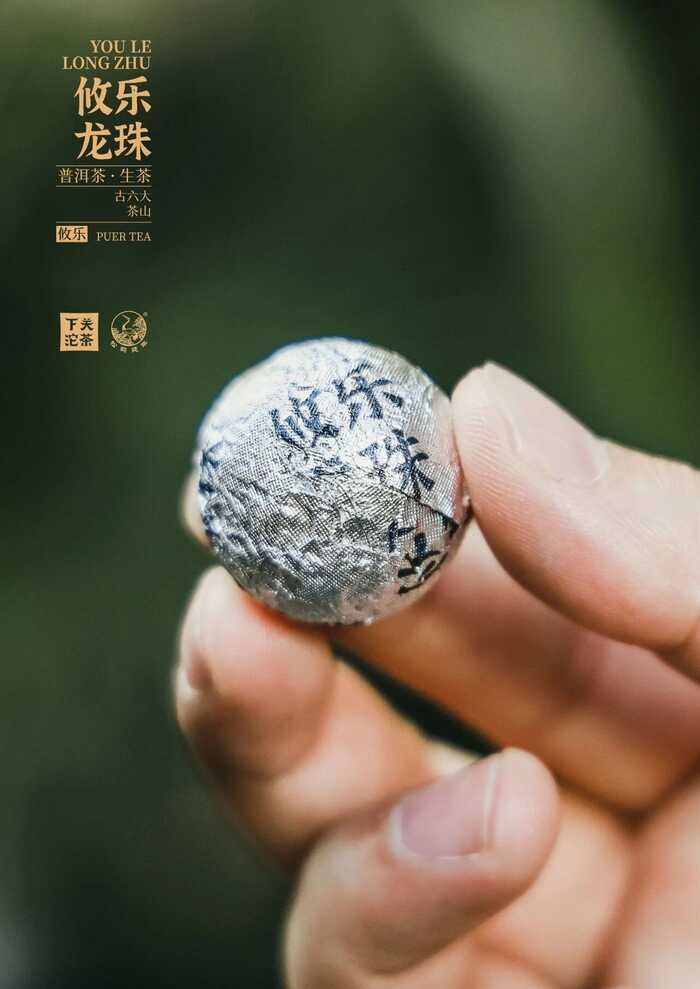 下关攸乐龙珠：刚柔并济的森林之味