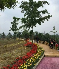 雅安市名山区茶业协会：关于规范使用茶叶绿色食品原料基地农药的倡议书