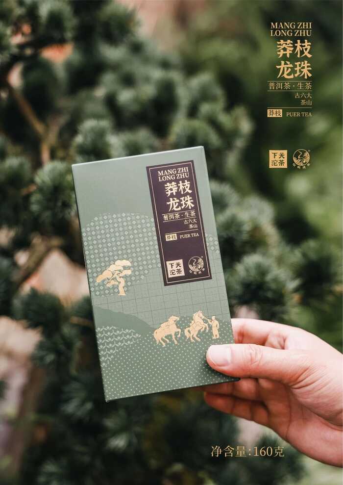 “六大茶山中最香的茶”——下关莽枝·龙珠