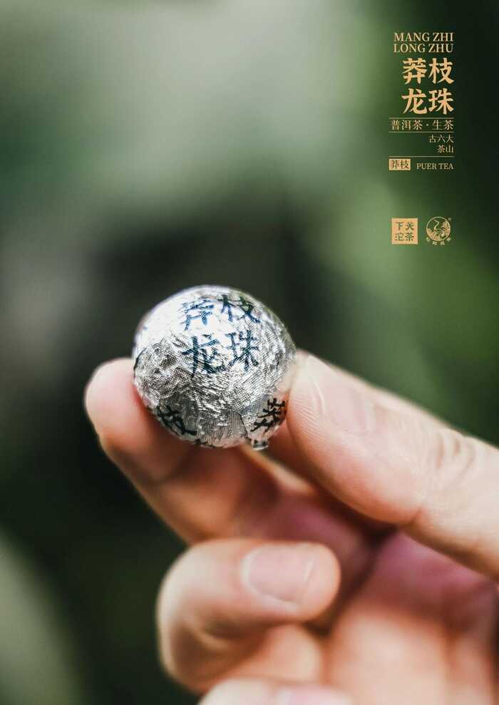 “六大茶山中最香的茶”——下关莽枝·龙珠