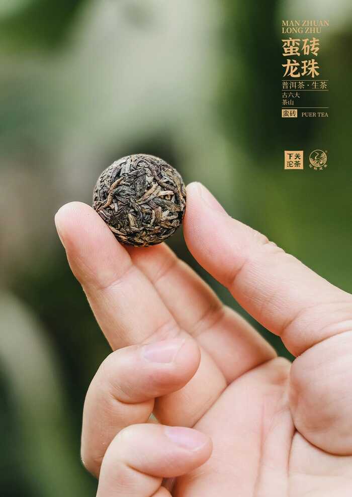 “六大茶山中的醇厚担当”—— 下关蛮砖・龙珠