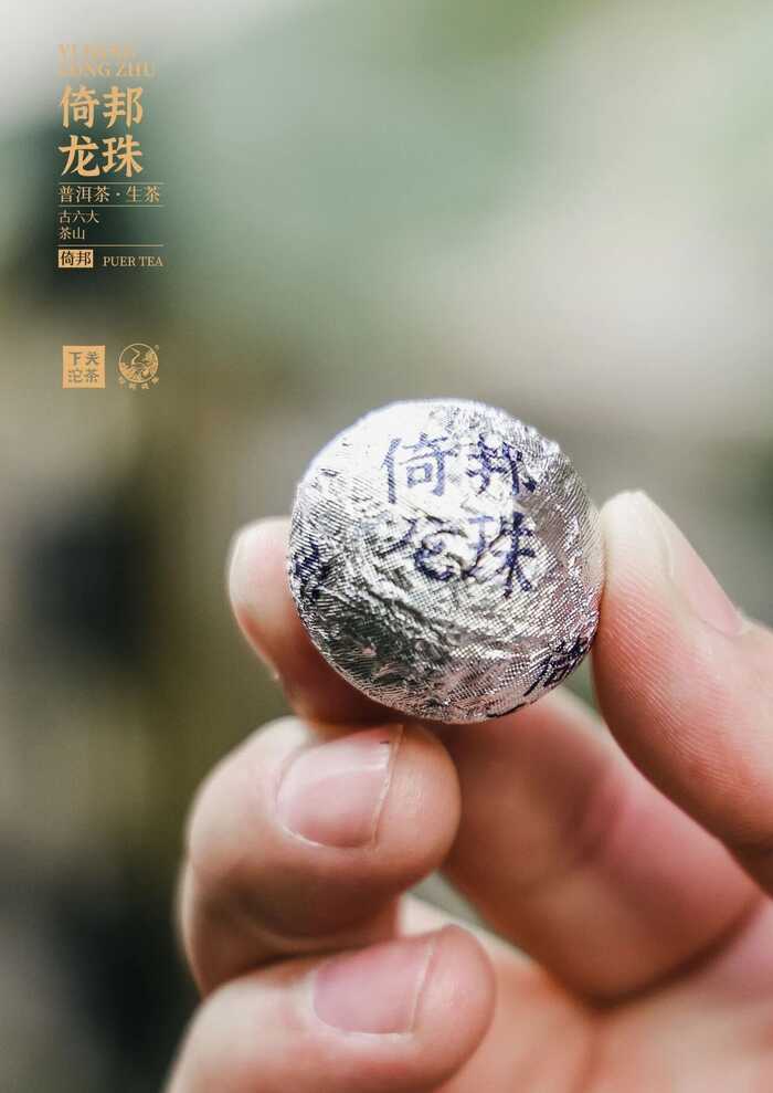 “六大茶山中的苦甜交织​”——下关倚邦·龙珠