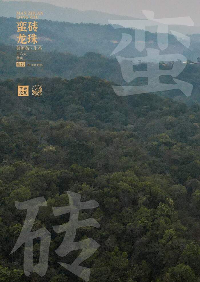 “六大茶山中的醇厚担当”—— 下关蛮砖・龙珠