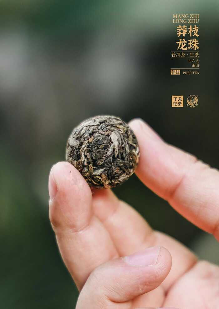 “六大茶山中最香的茶”——下关莽枝·龙珠