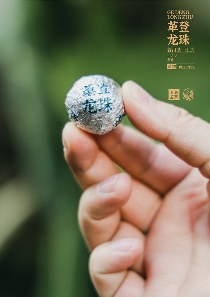 古六大茶山 下关沱茶革登·龙珠