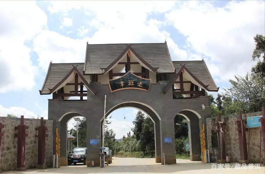 老班章价格分析：稀缺性与口感全解析