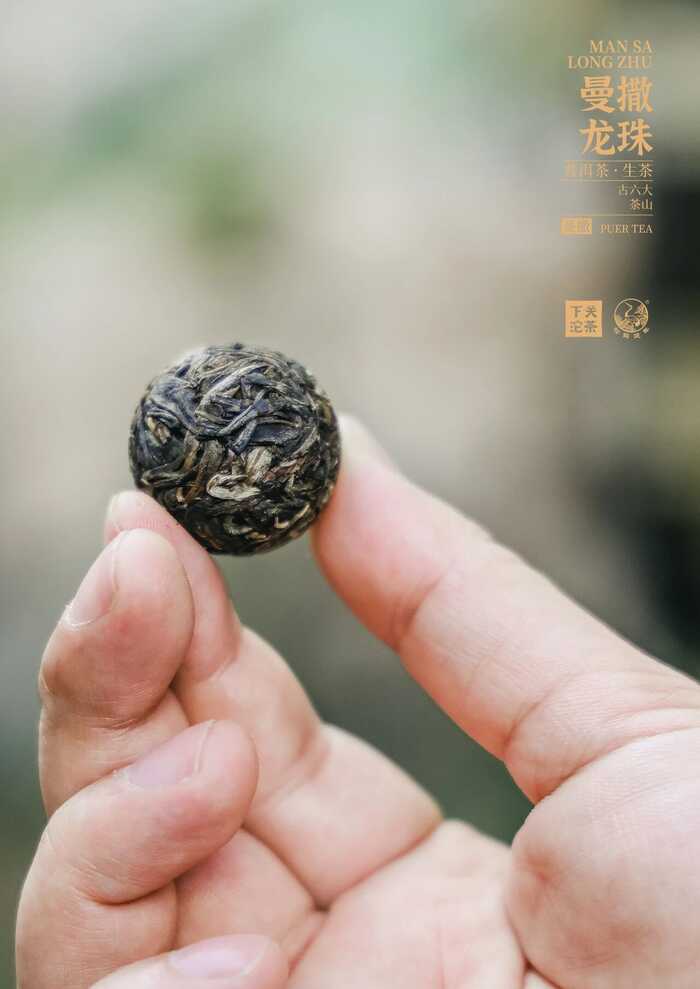 “易武茶香的源头”——下关曼撒·龙珠