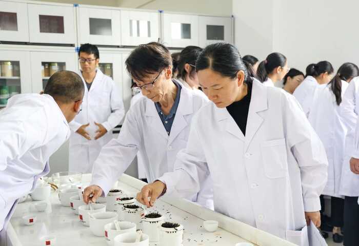 从80年代获国家外经贸部嘉奖，到参与国标样品研制，澜沧古茶何以筑牢熟茶品质根基？