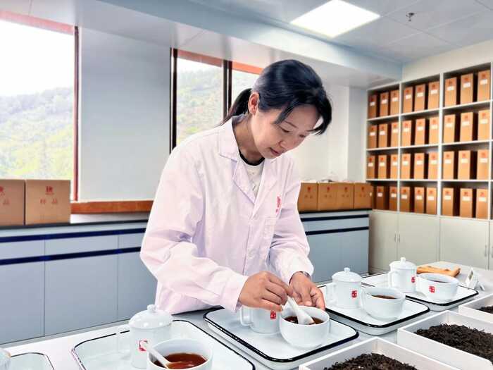 从80年代获国家外经贸部嘉奖，到参与国标样品研制，澜沧古茶何以筑牢熟茶品质根基？
