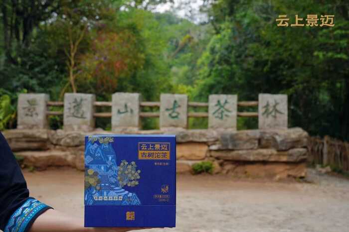 下关沱茶2025云上景迈古树沱茶