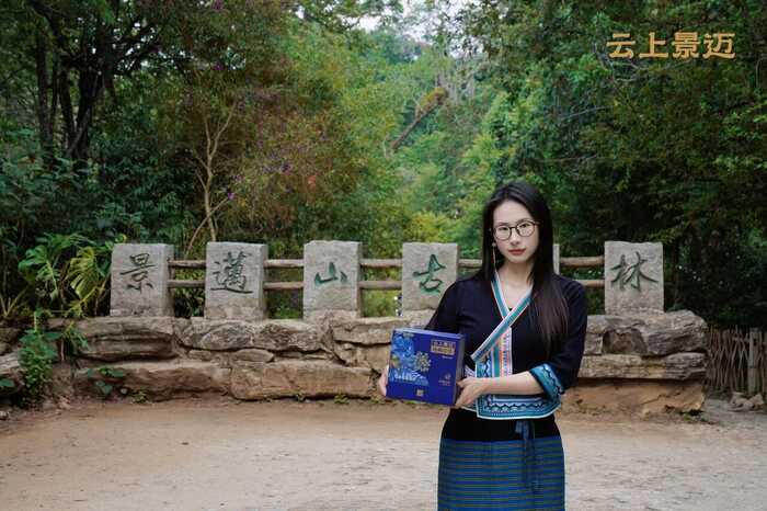 下关沱茶2025云上景迈古树沱茶